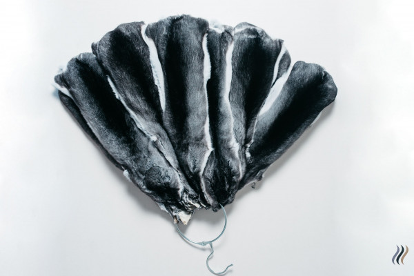 Выращивание шиншил и производство шиншиллового меха